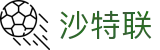 沙特联足球直播